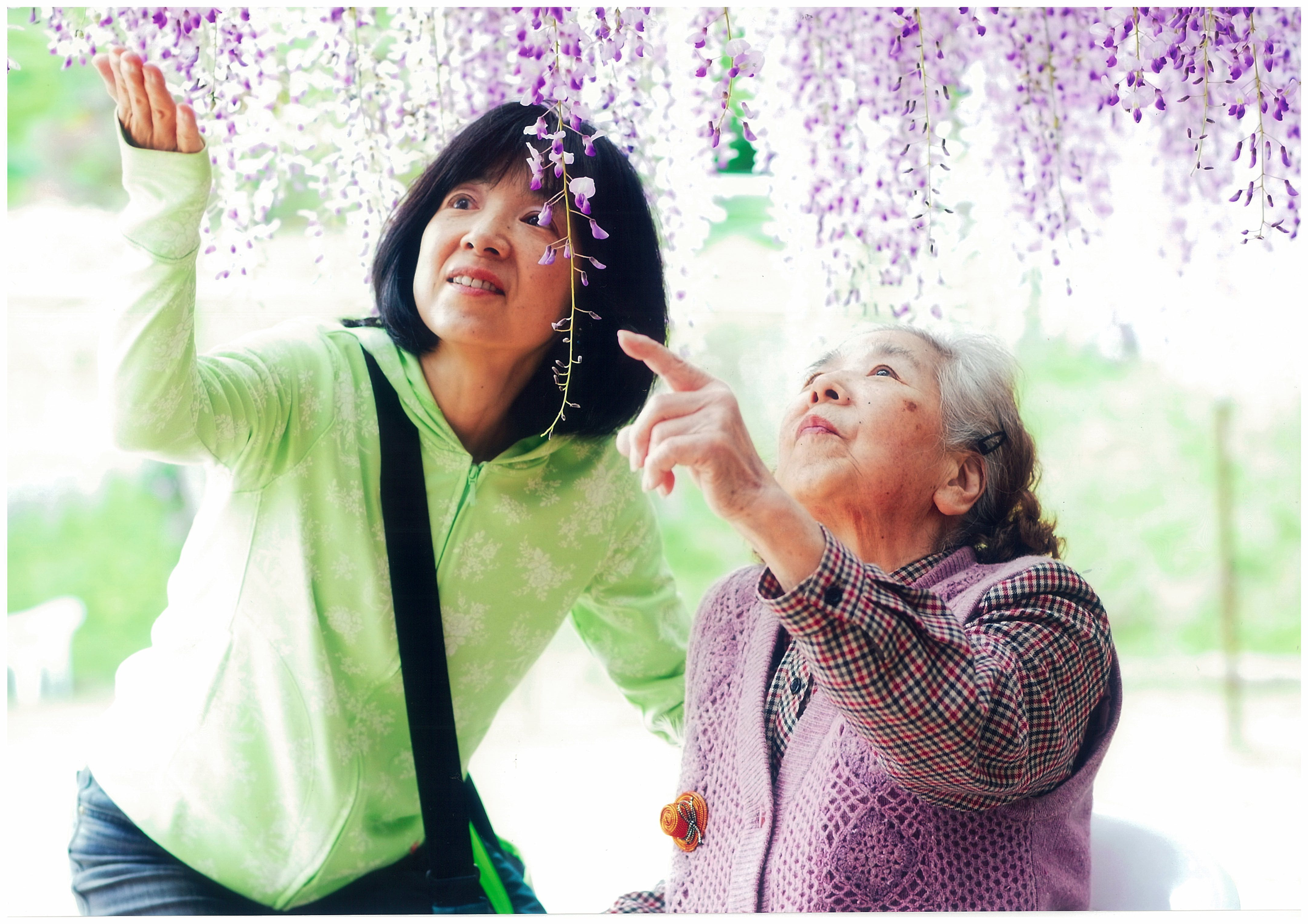 入　選　「きれいだね」　島　永二