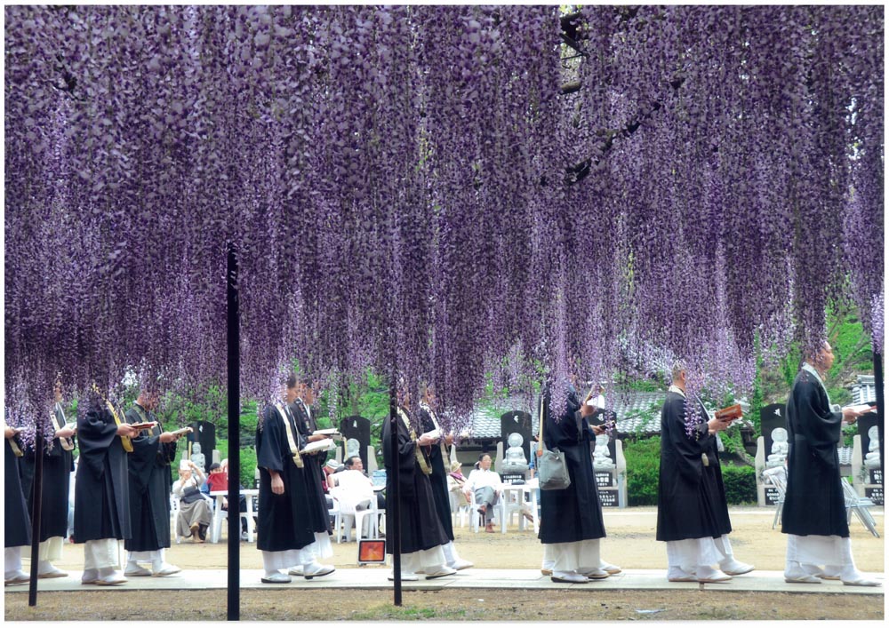 佳　作「御入場」松本高年